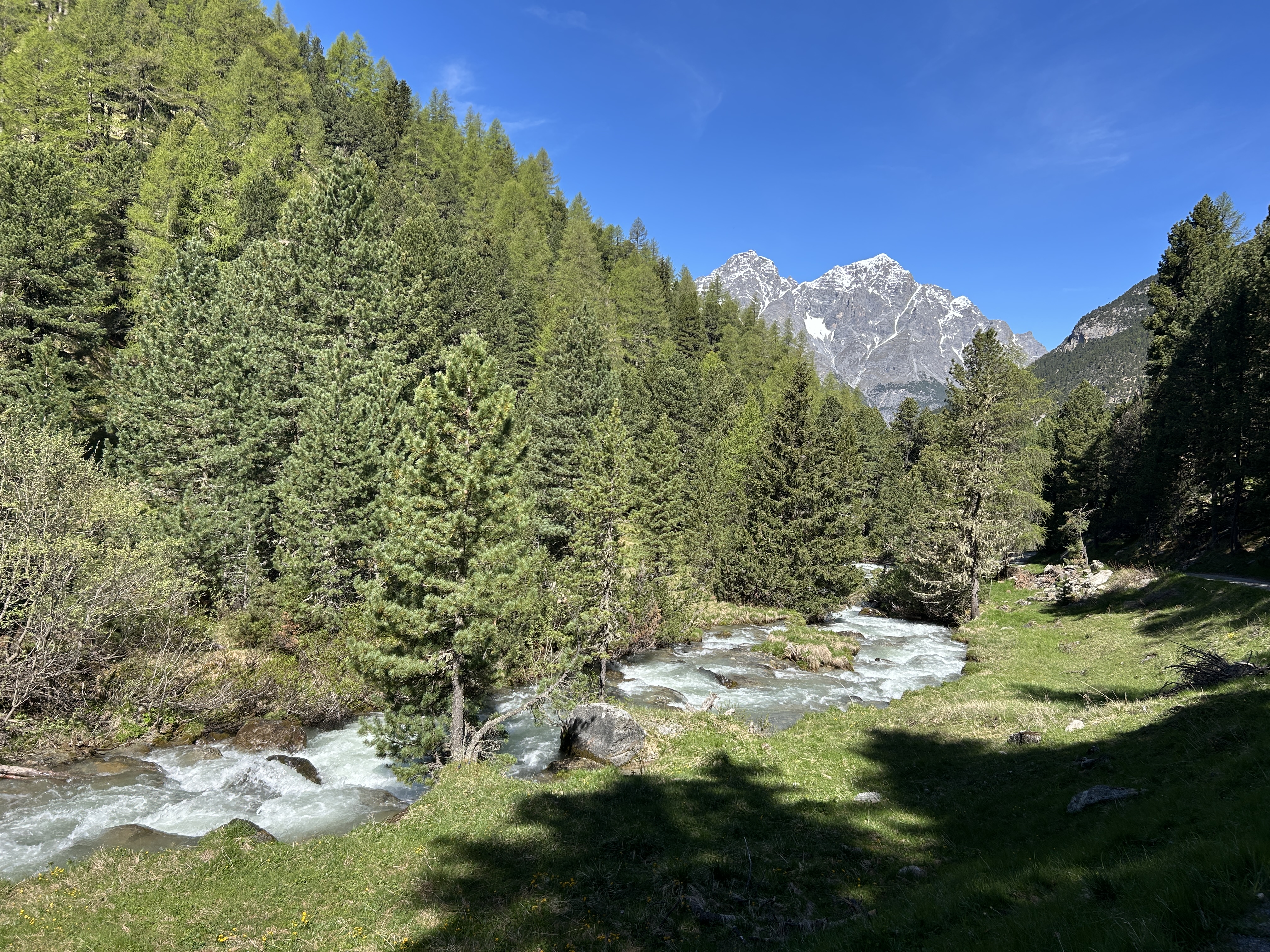 Tourenbericht und Wandertipp: Scuol - S-Charl - Pass dal Fuorn