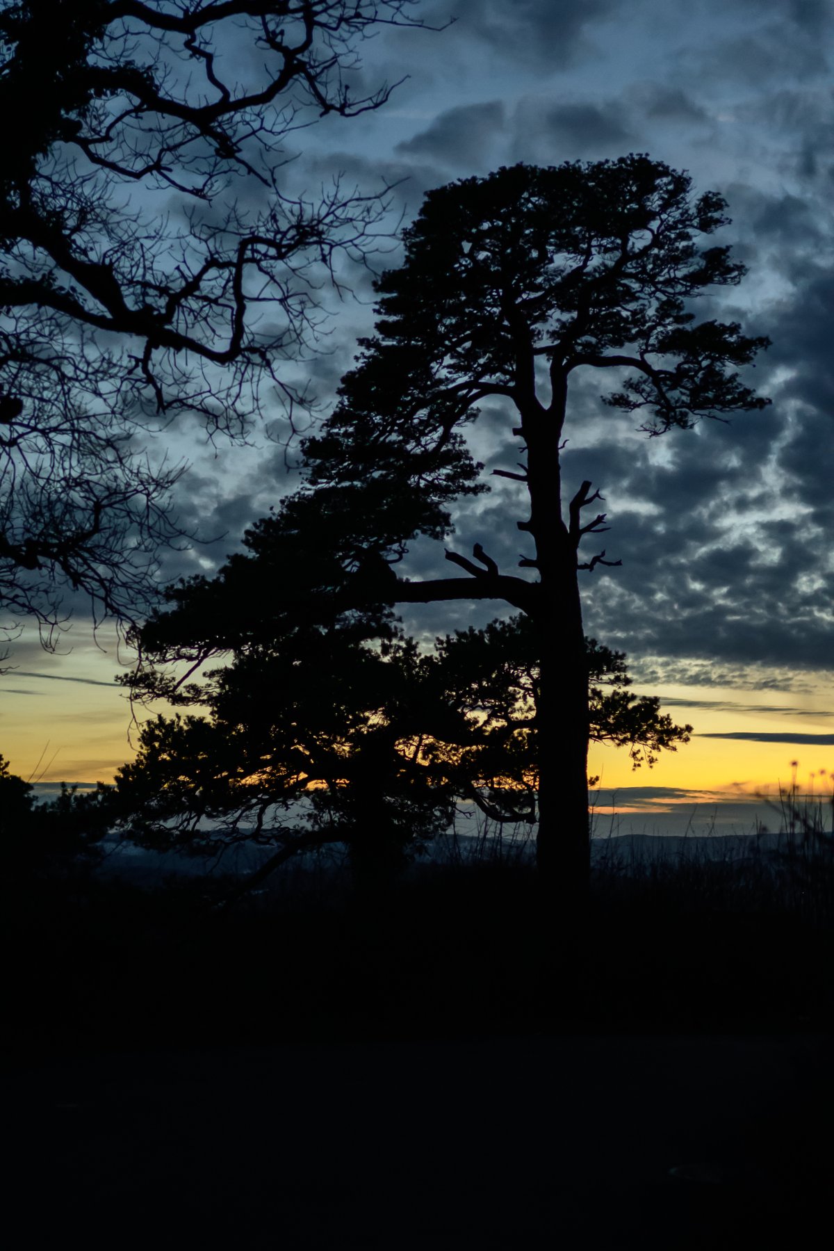 Blaue Stunde im Basler Jura