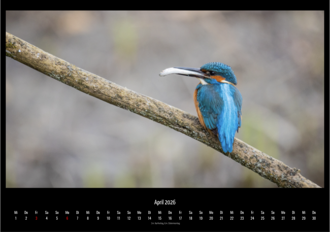 Schweizer Kalender 2026 - Wandkalender Format A3